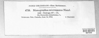 Monographos microsporus image
